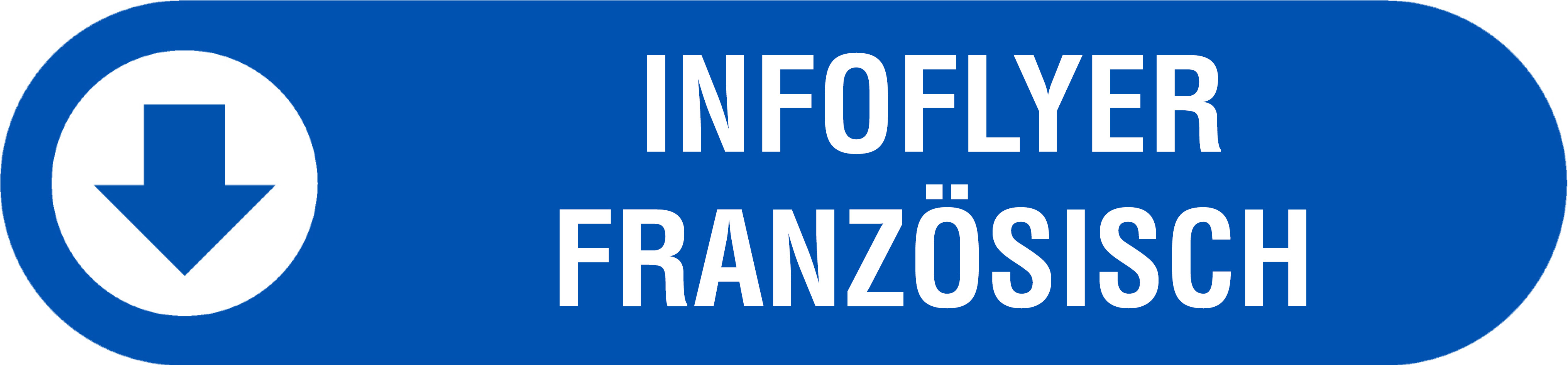 Infoflyer Franzoesisch